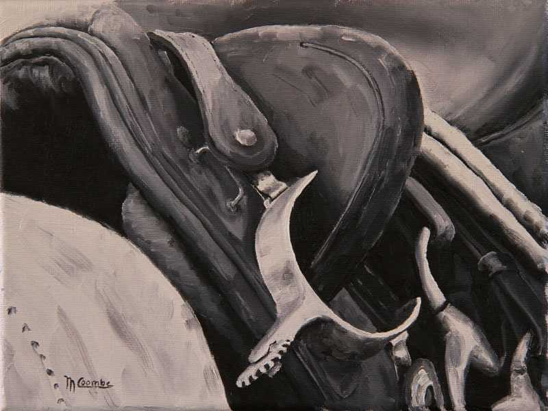 BW Saddle by Mark Coombe 