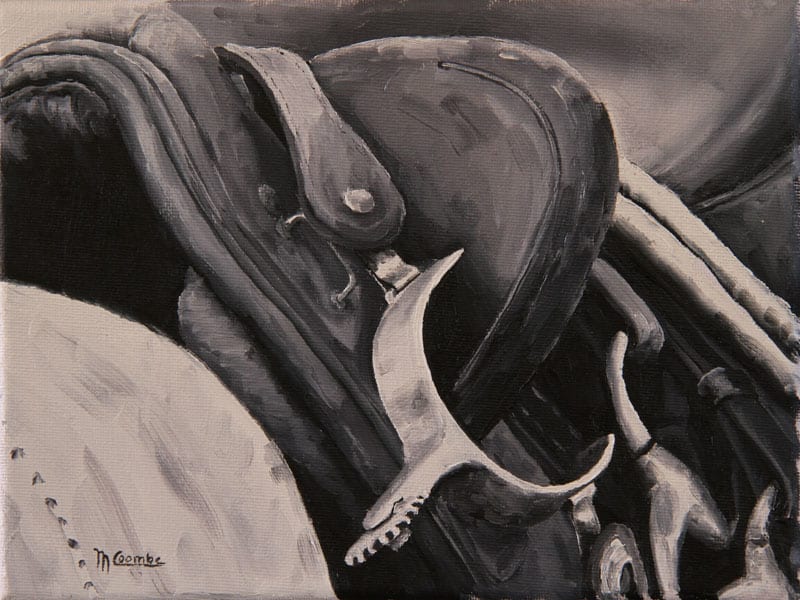 BW Saddle by Mark Coombe, Image 1.