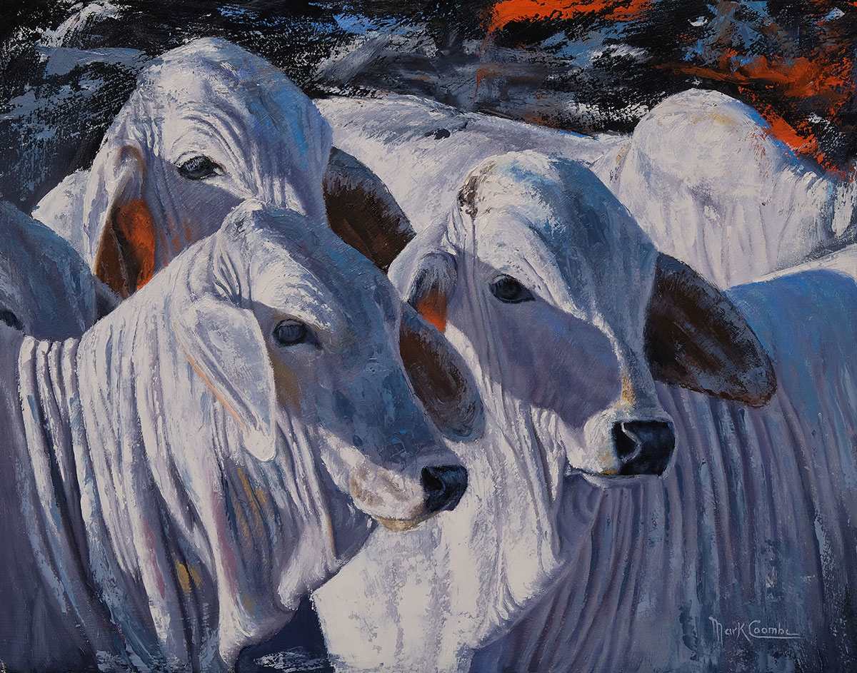 Brahman Shadows by Mark Coombe, Image 1.