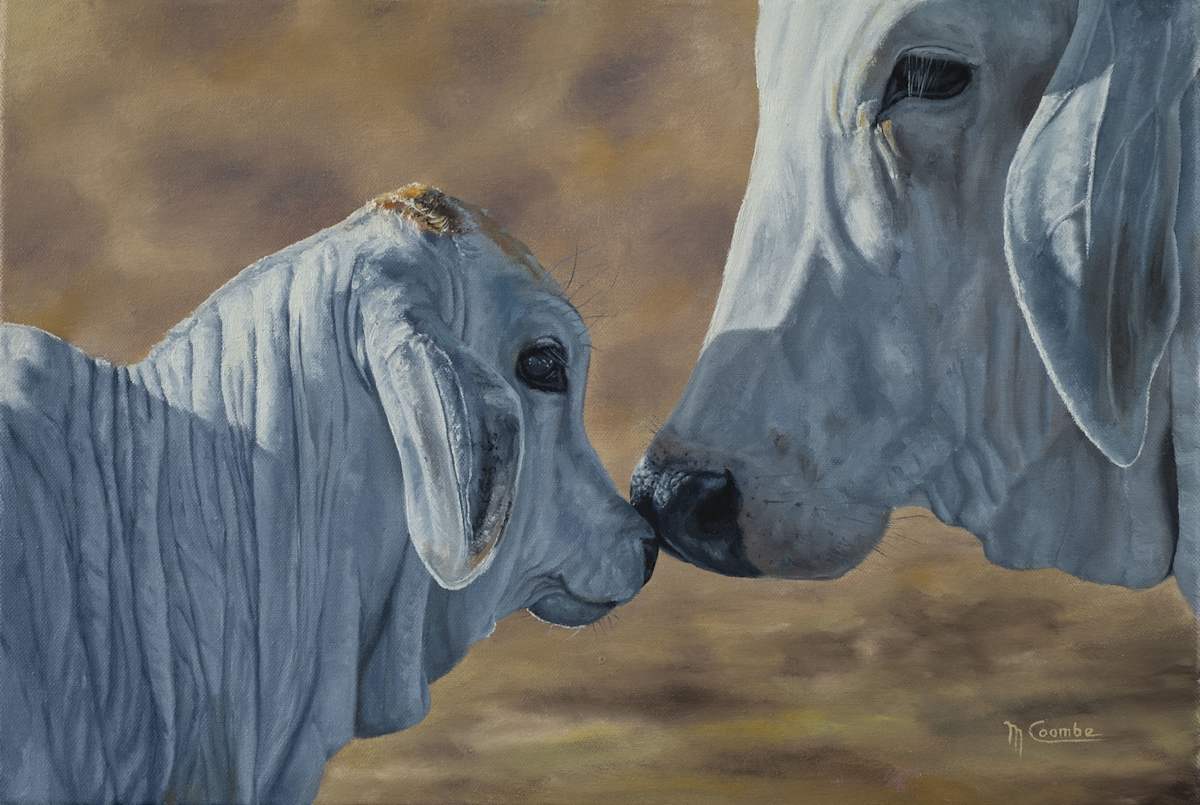 Connection by Mark Coombe 