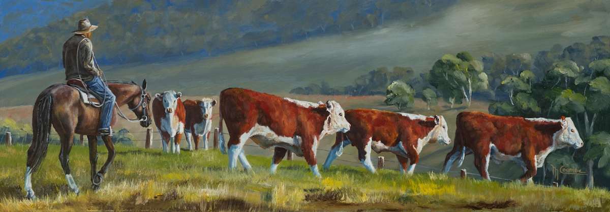 Herefords 