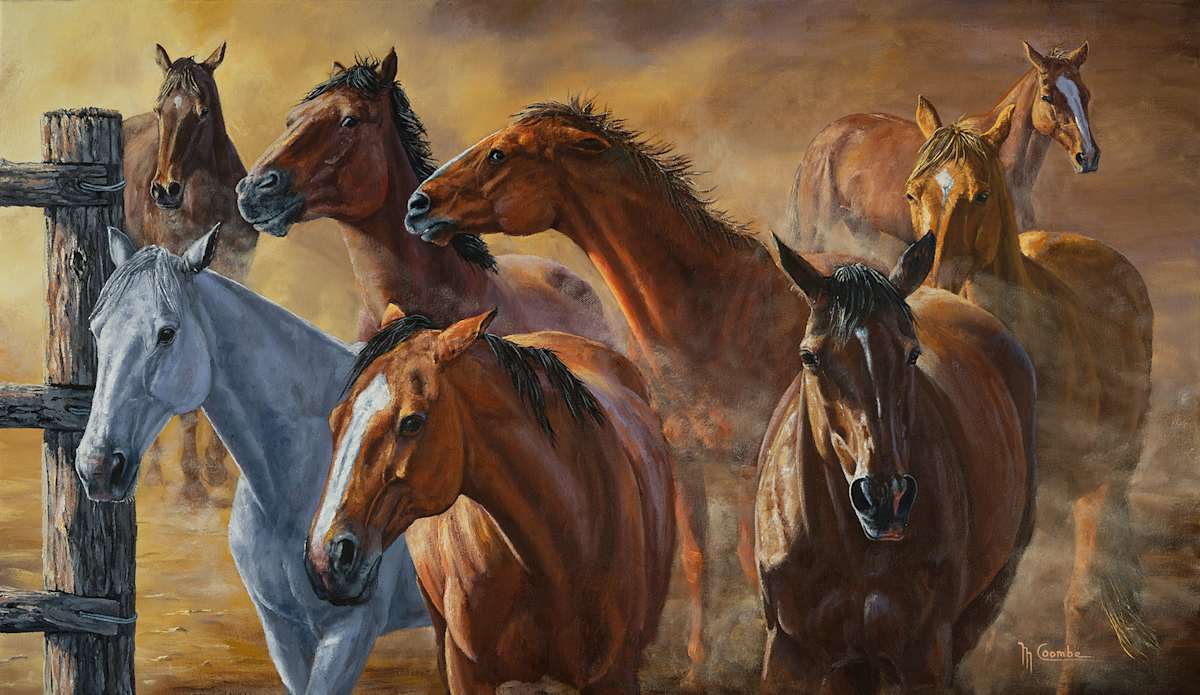 Horses by Mark Coombe 
