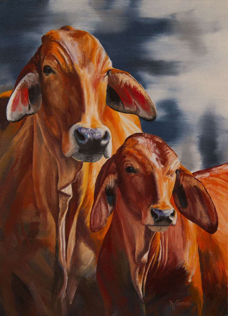 Interested by Mark Coombe, Image 1.