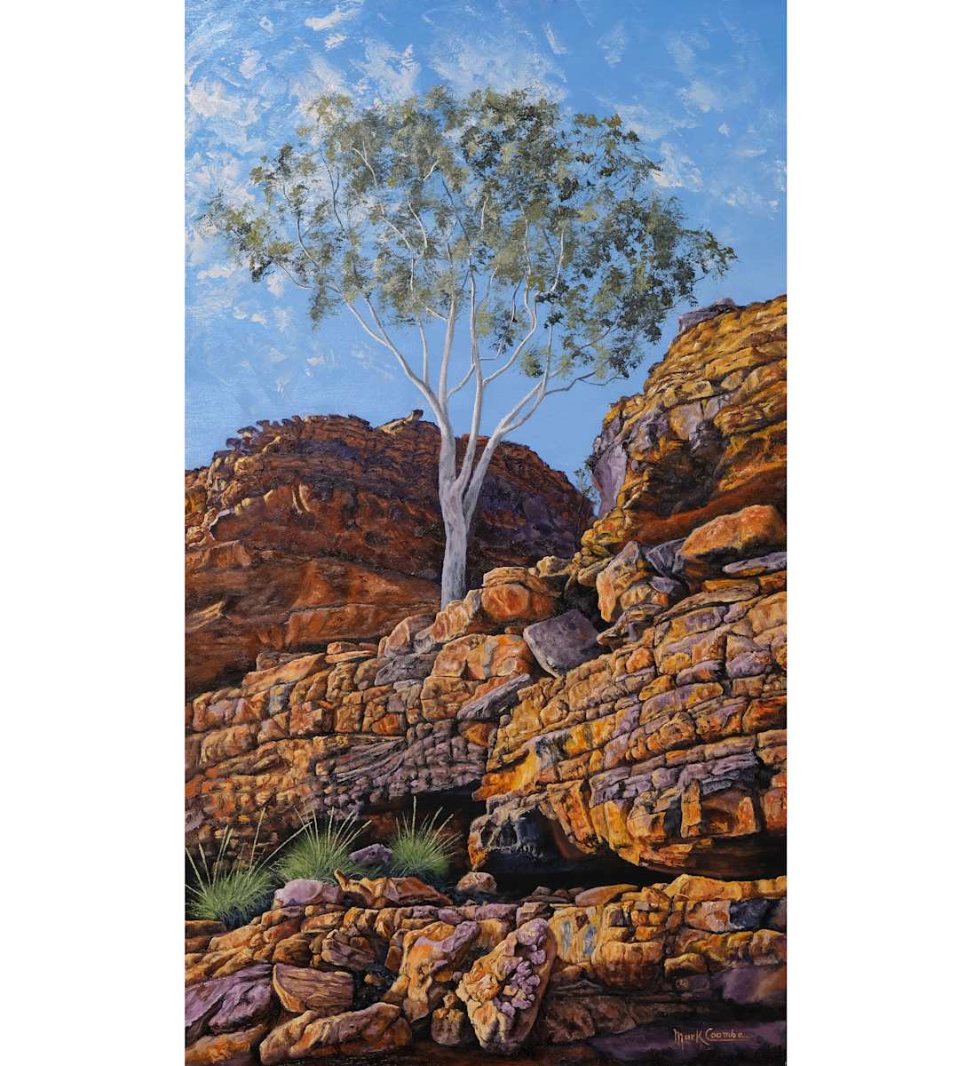 Kings Canyon by Mark Coombe 