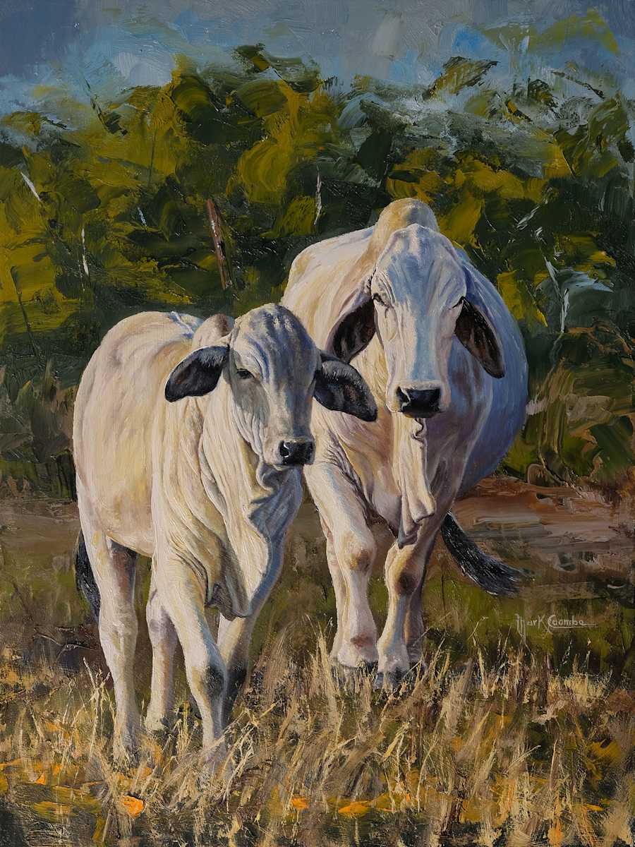Moving Forward by Mark Coombe 