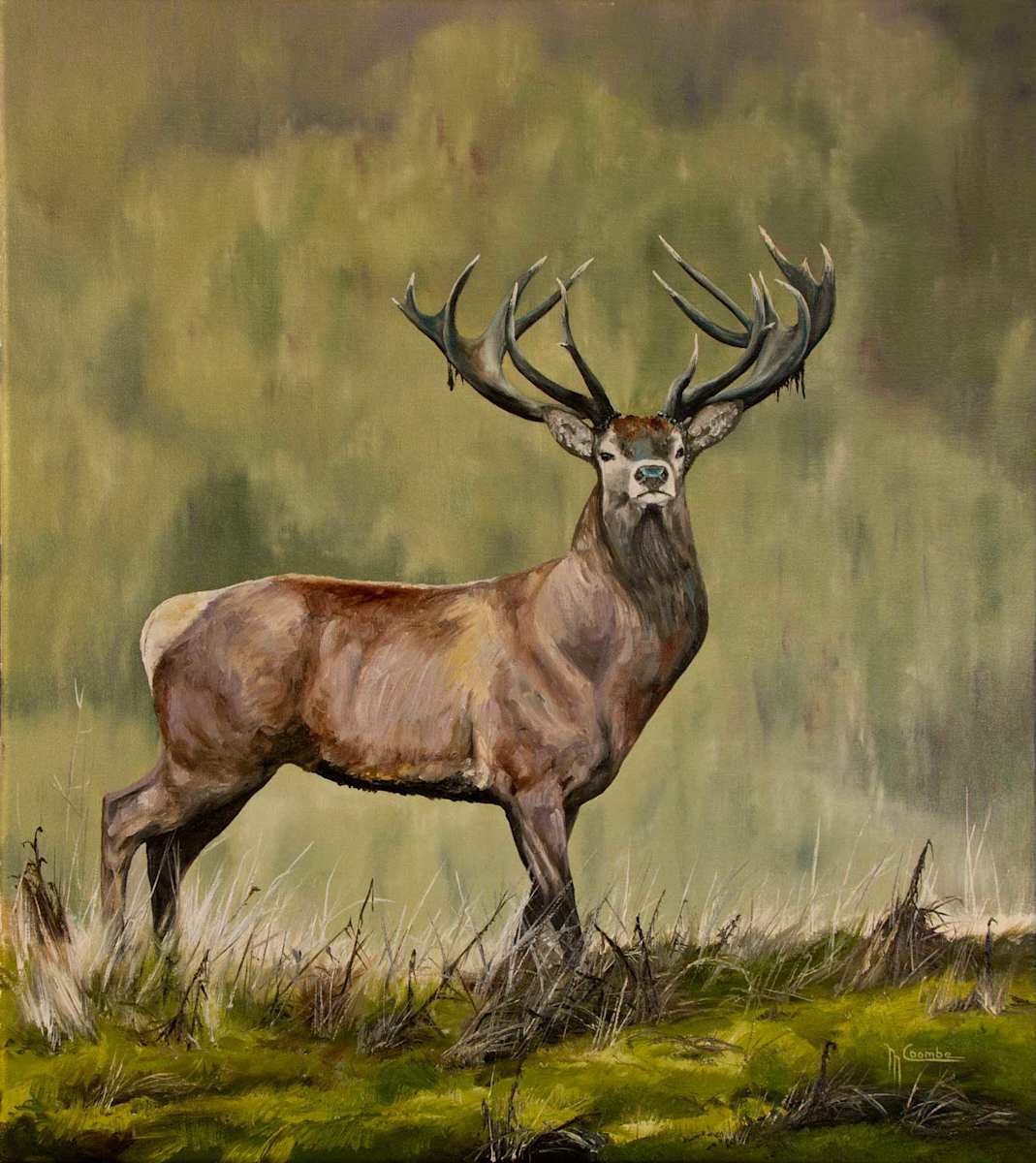 Commission by Mark Coombe 