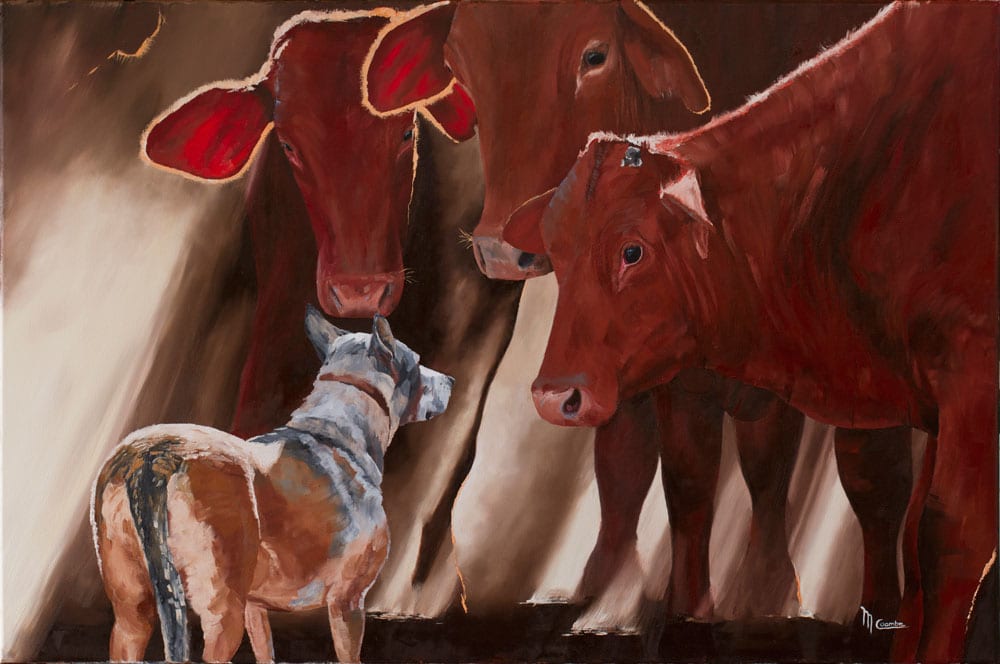 Pay Attention by Mark Coombe, Image 1.