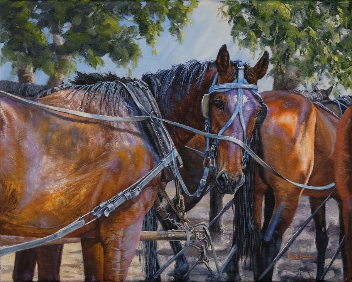 Change Over Time by Mark Coombe 