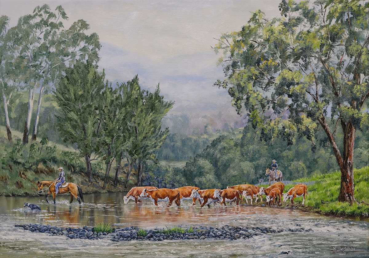 Shallow Crossing by Mark Coombe 