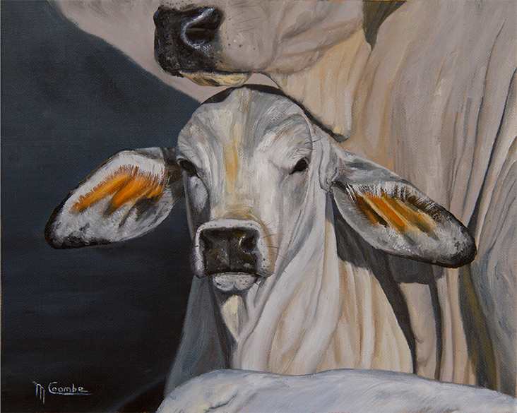 Big Ears by Mark Coombe 