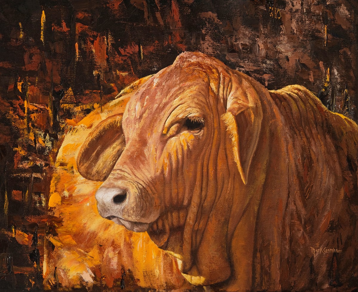 Observant by Mark Coombe 