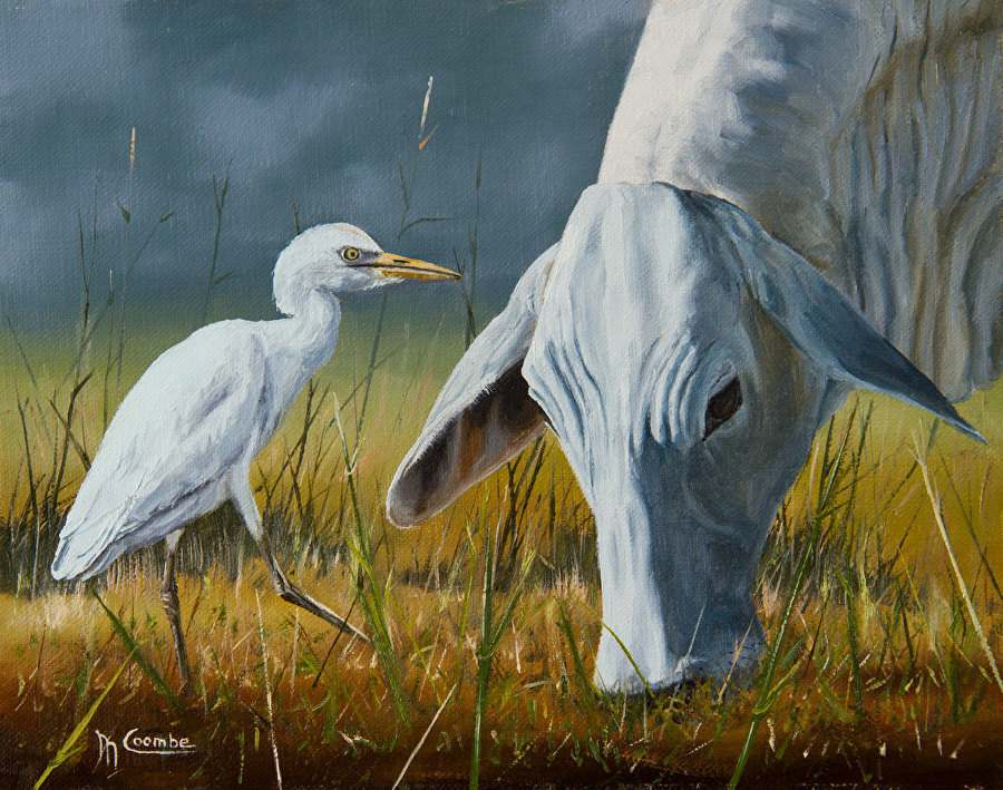 Egret by Mark Coombe 