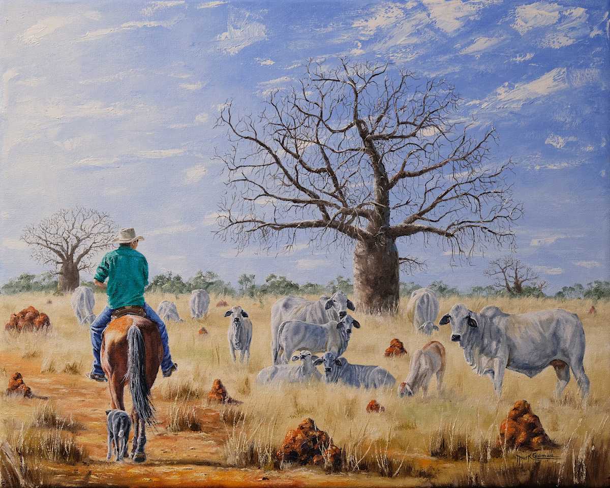 Boabs & Brahmans by Mark Coombe 