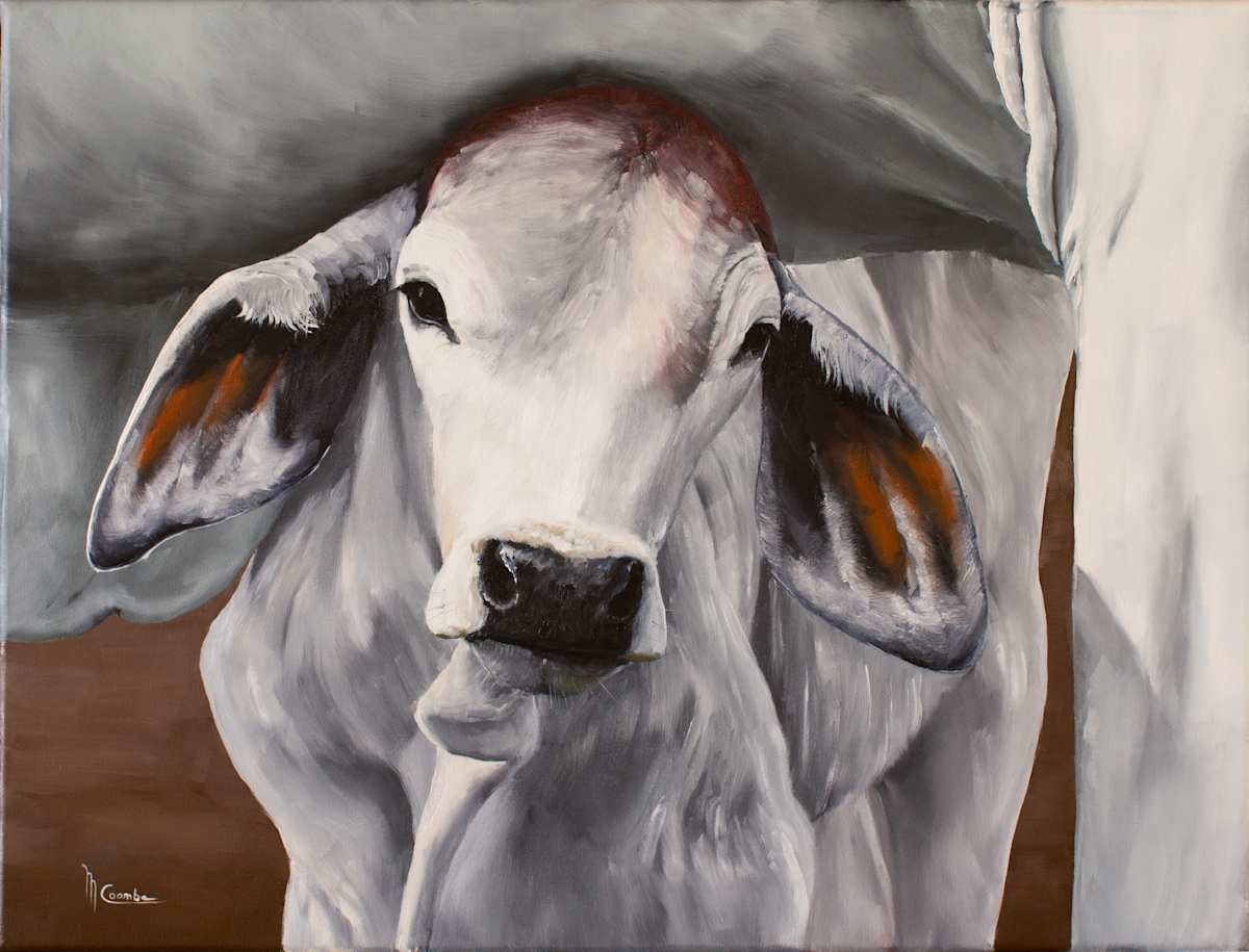 Safe by Mark Coombe 