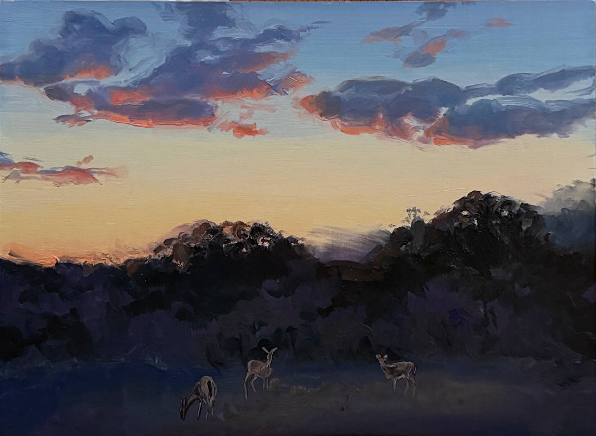 Deer at Sunrise by Streeter Holden 