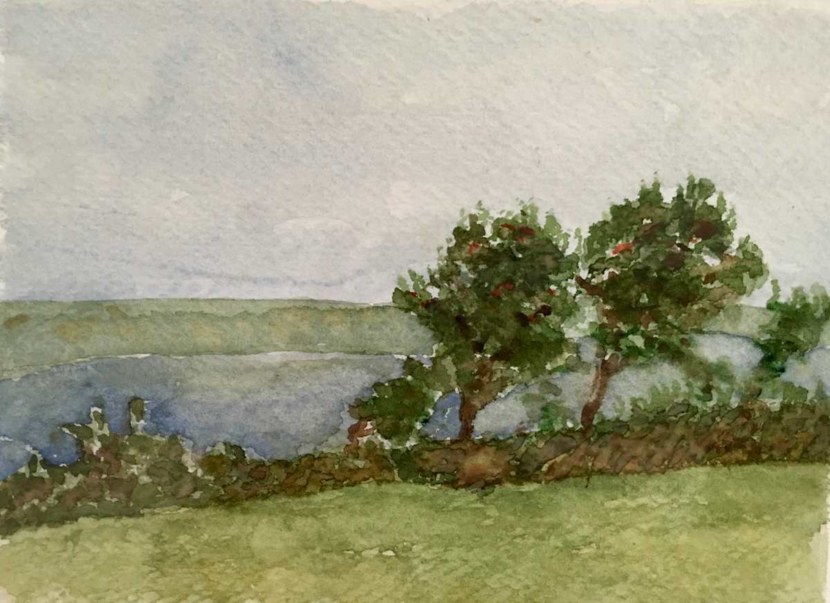 Secret Garden by Streeter Holden, Image 1.