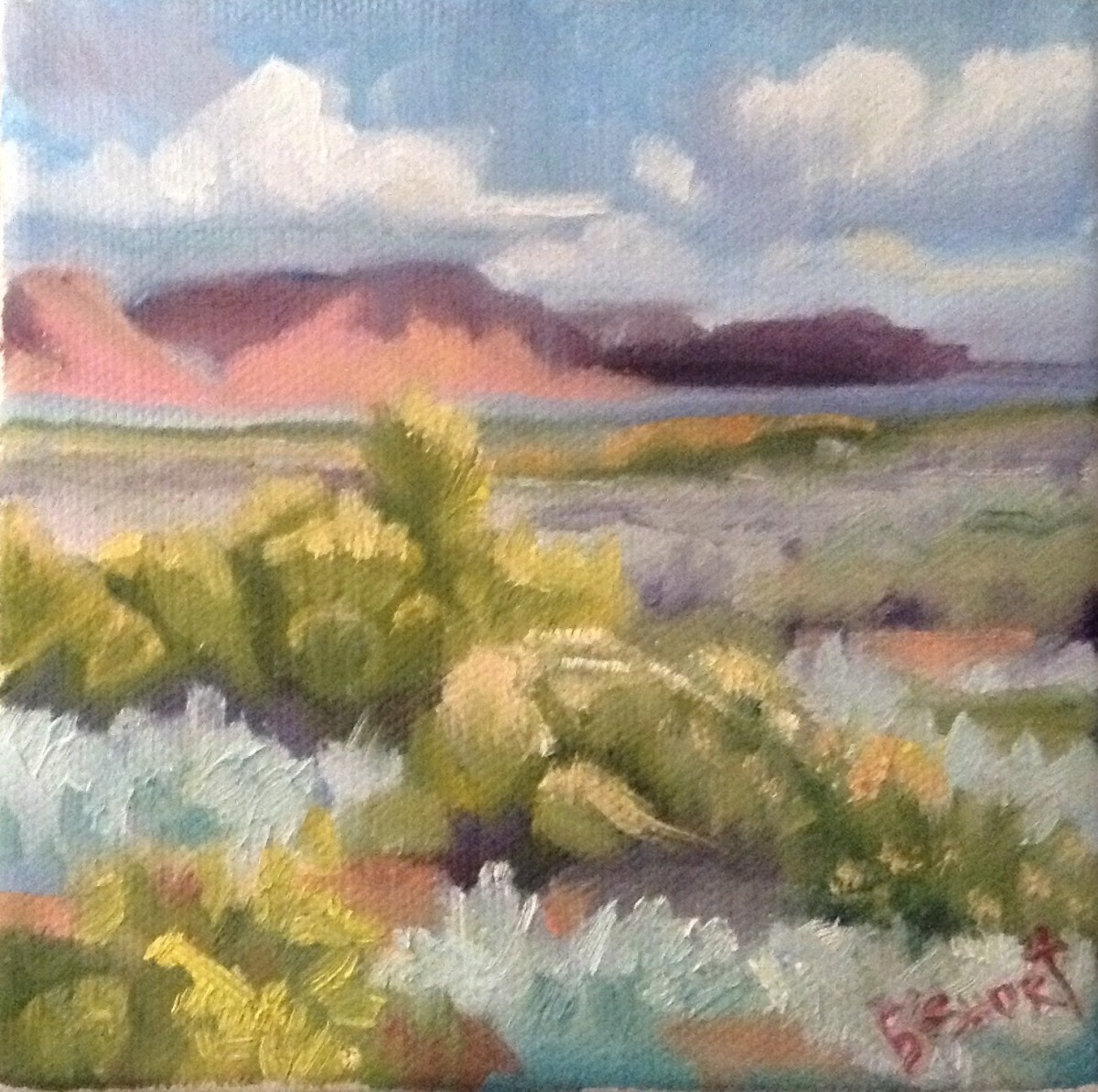 Red Hills Out West by Brenda Short 