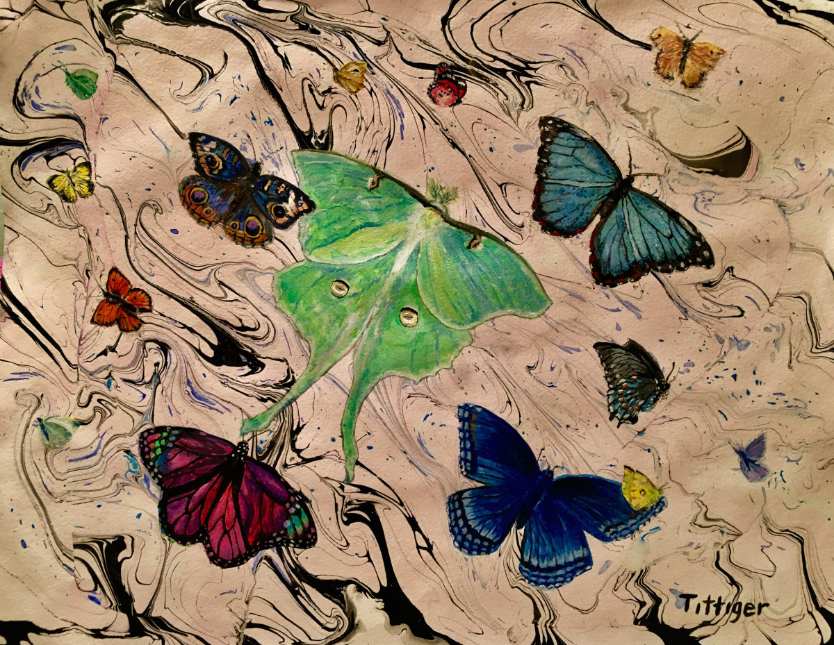 BUTTERFLY COLLECTION by Colleen Tittiger 