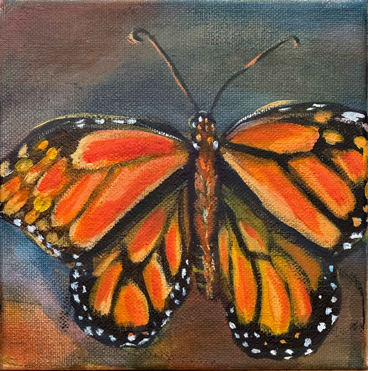 Adventurous #3 by Ceci Lopez  Image: front view