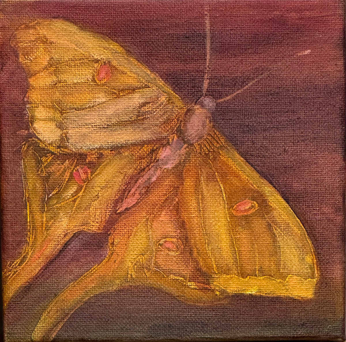 Clarity #1 by Ceci Lopez 