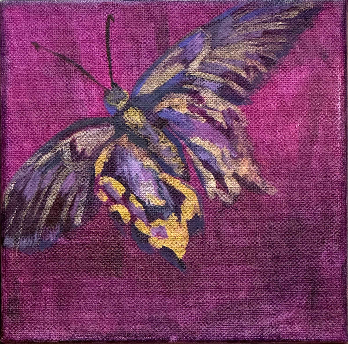 First Light #5 by Ceci Lopez 