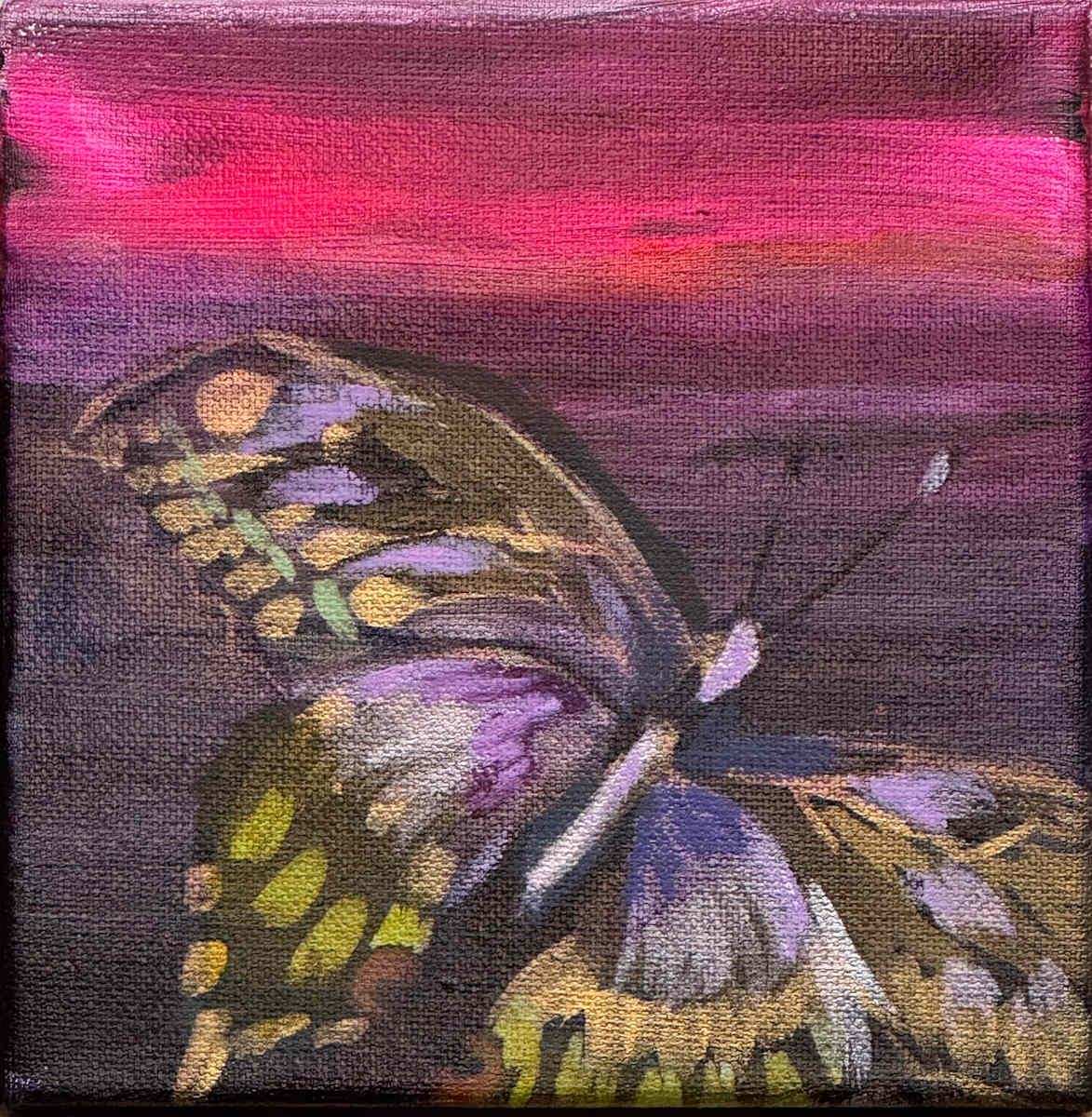 First Light #3 by Ceci Lopez 