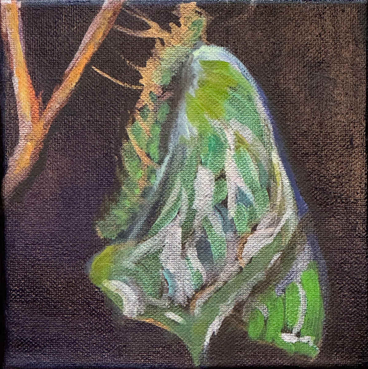 First Light #1 by Ceci Lopez 