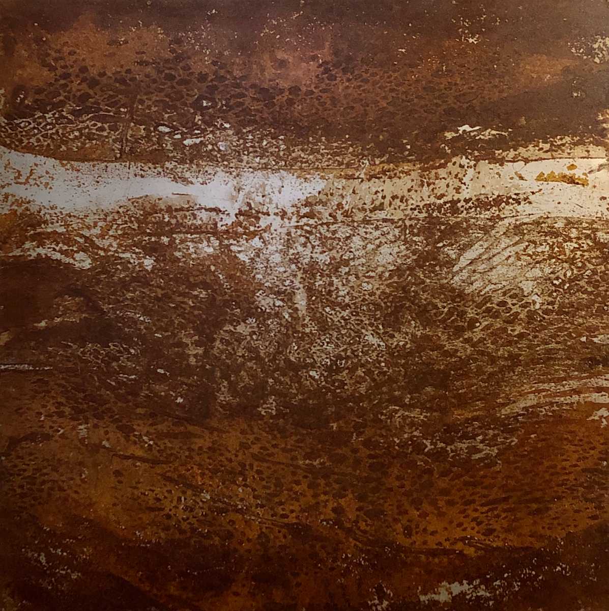 Steel rust by Jo Walton 