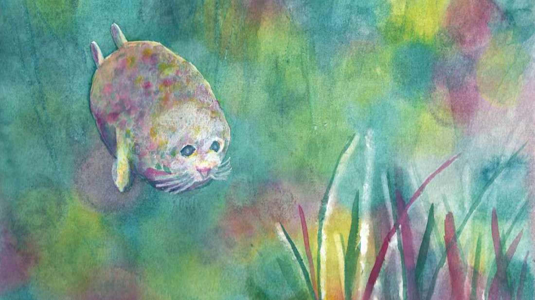 Pepita the harbor seal by Janet Danforth 