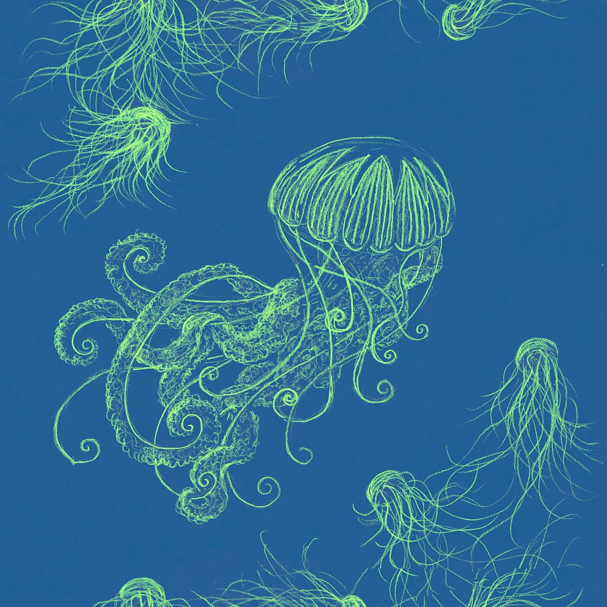 Jellyfish swimming by Janet Danforth 