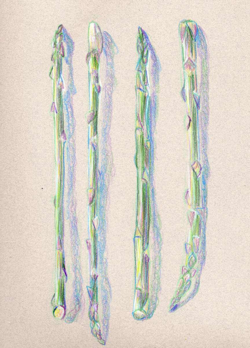 Asparagus by Janet Danforth, Image 3.