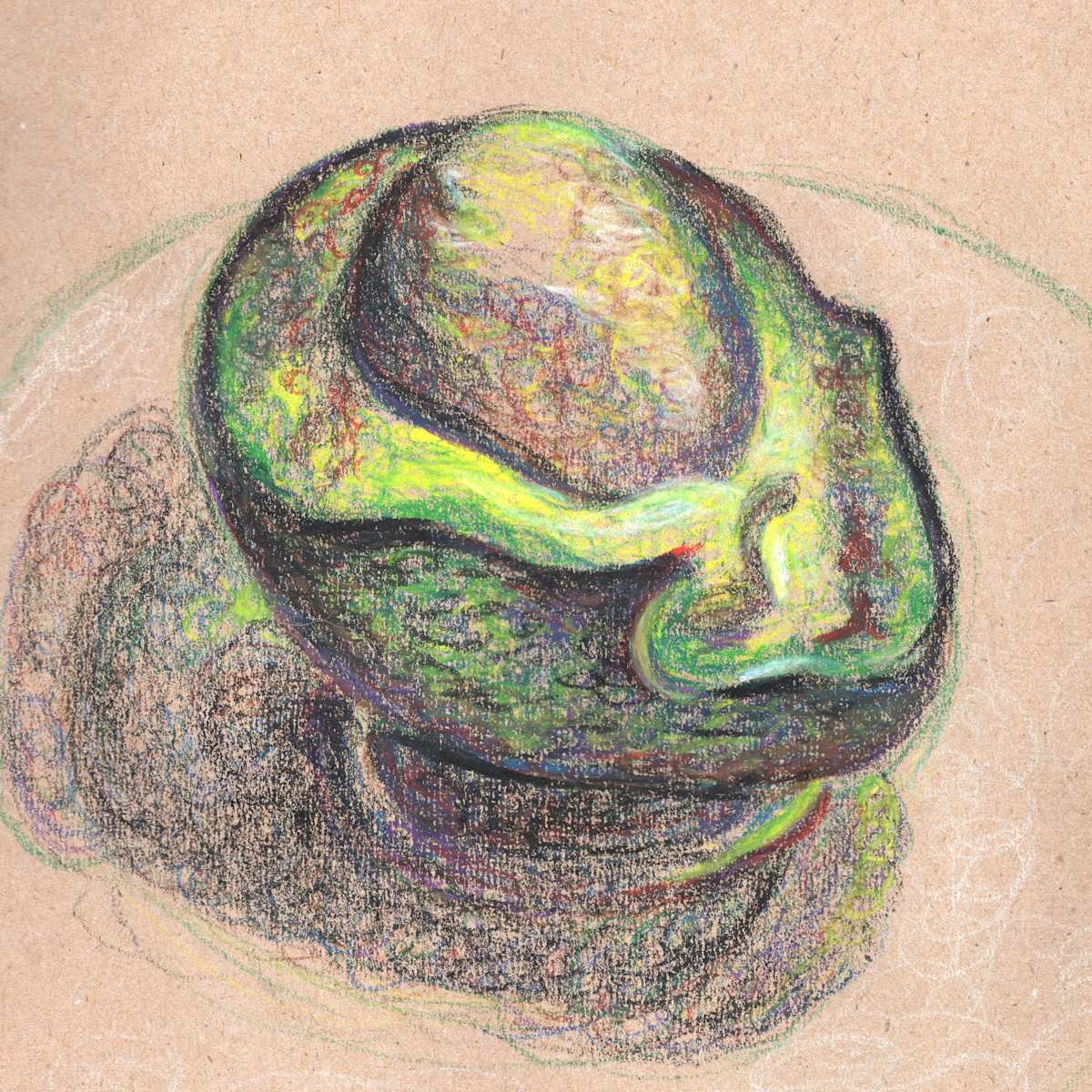 Avocado by Janet Danforth, Image 9.