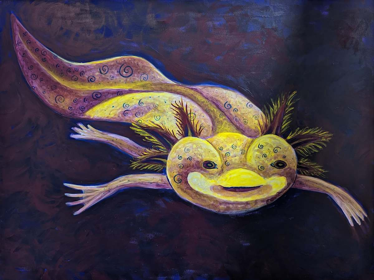 Axolotl Swimming by Janet Danforth, Image 1.