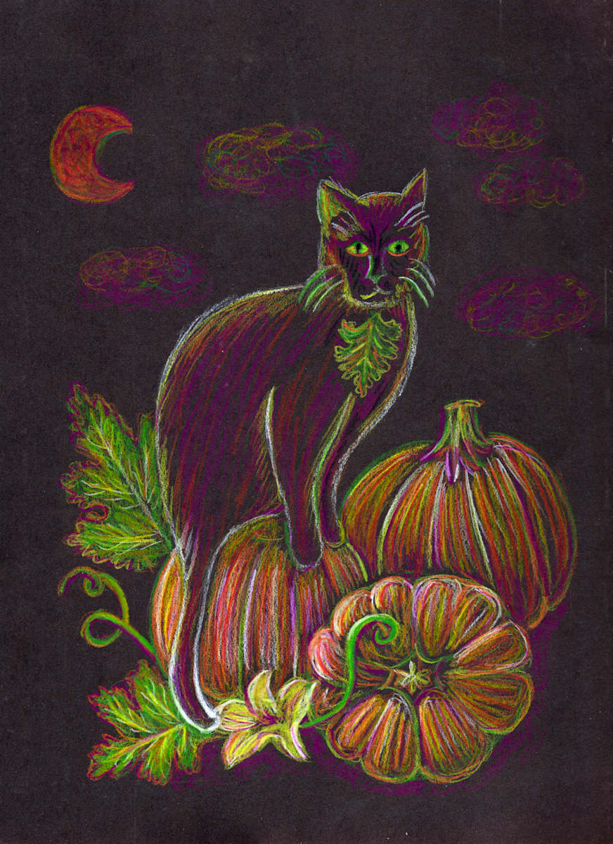 Cat in the pumpkin patch by Janet Danforth, Image 1.