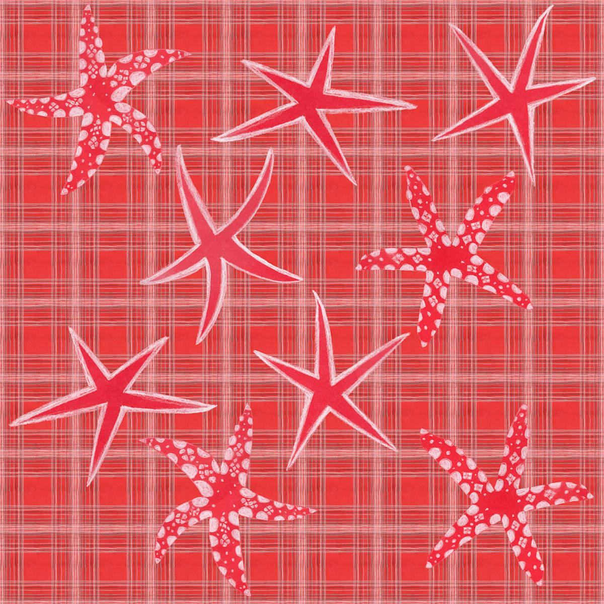 Christmas Star Plaid by Janet Danforth 