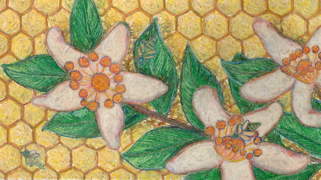 Local honey by Janet Danforth 