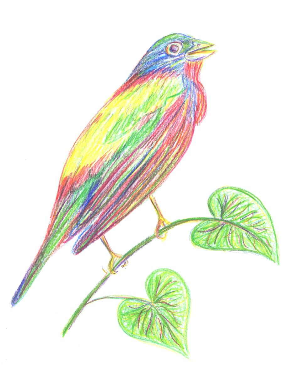 Painted Bunting by Janet Danforth, Image 1.