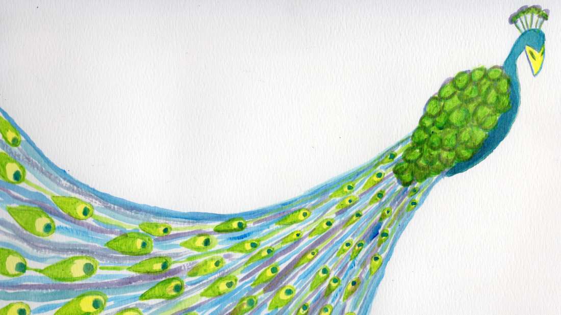 Peacock by Janet Danforth 