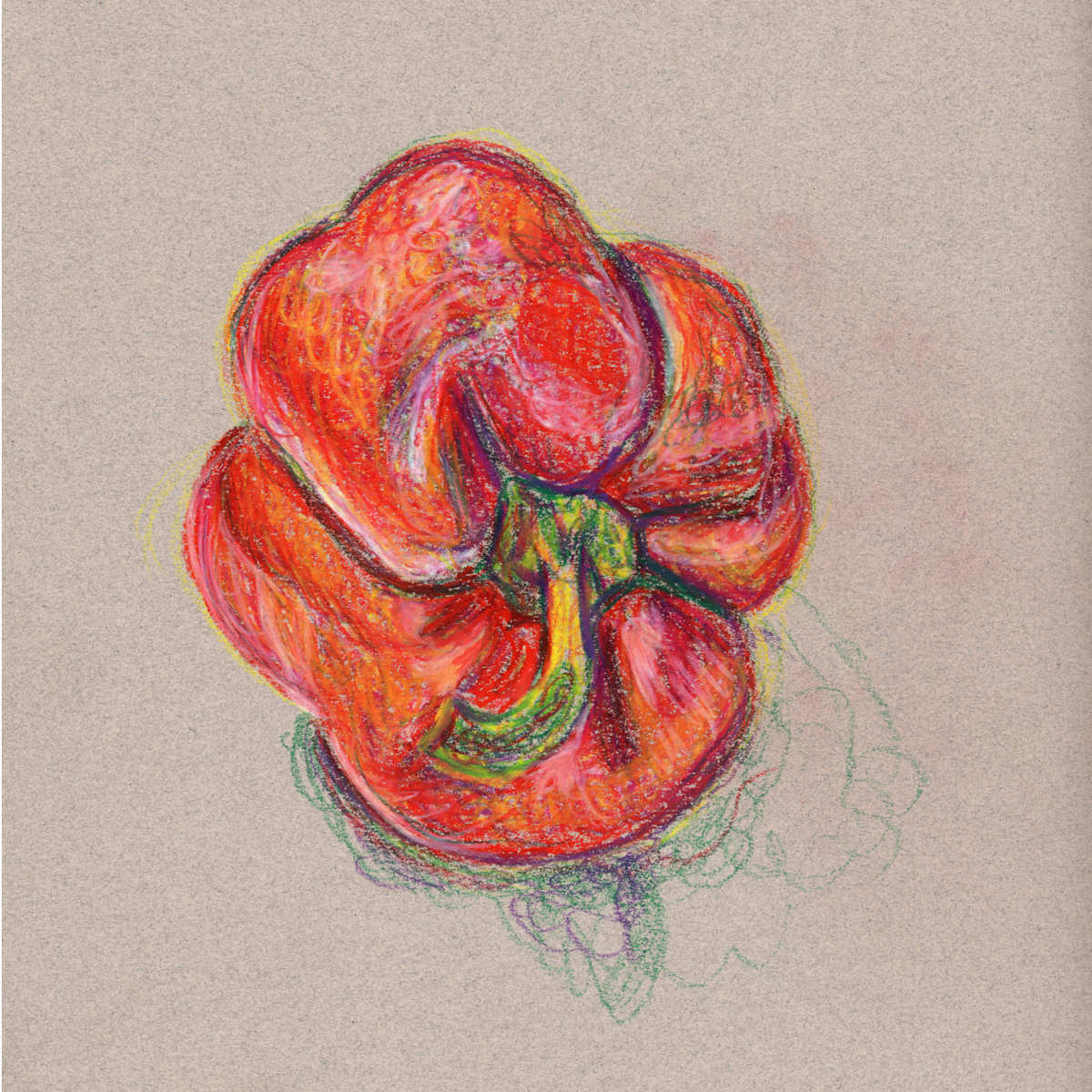 Red bell pepper by Janet Danforth, Image 1.