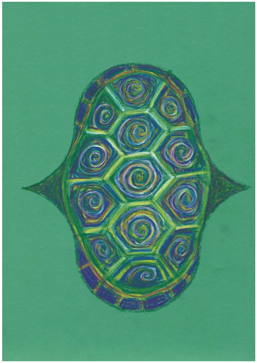 Turtle shell by Janet Danforth, Image 6.
