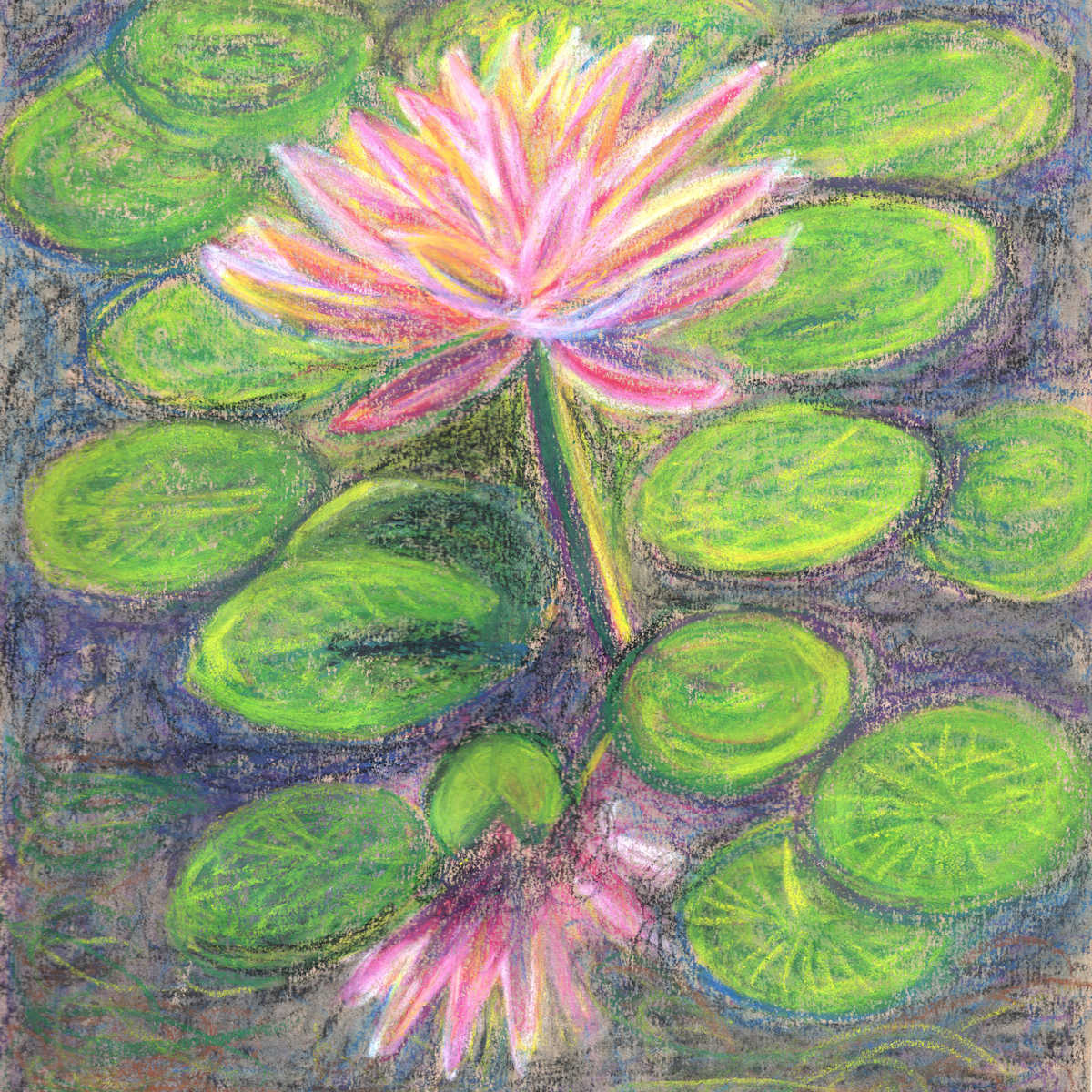 Water Lily Reflected by Janet Danforth, Image 6.