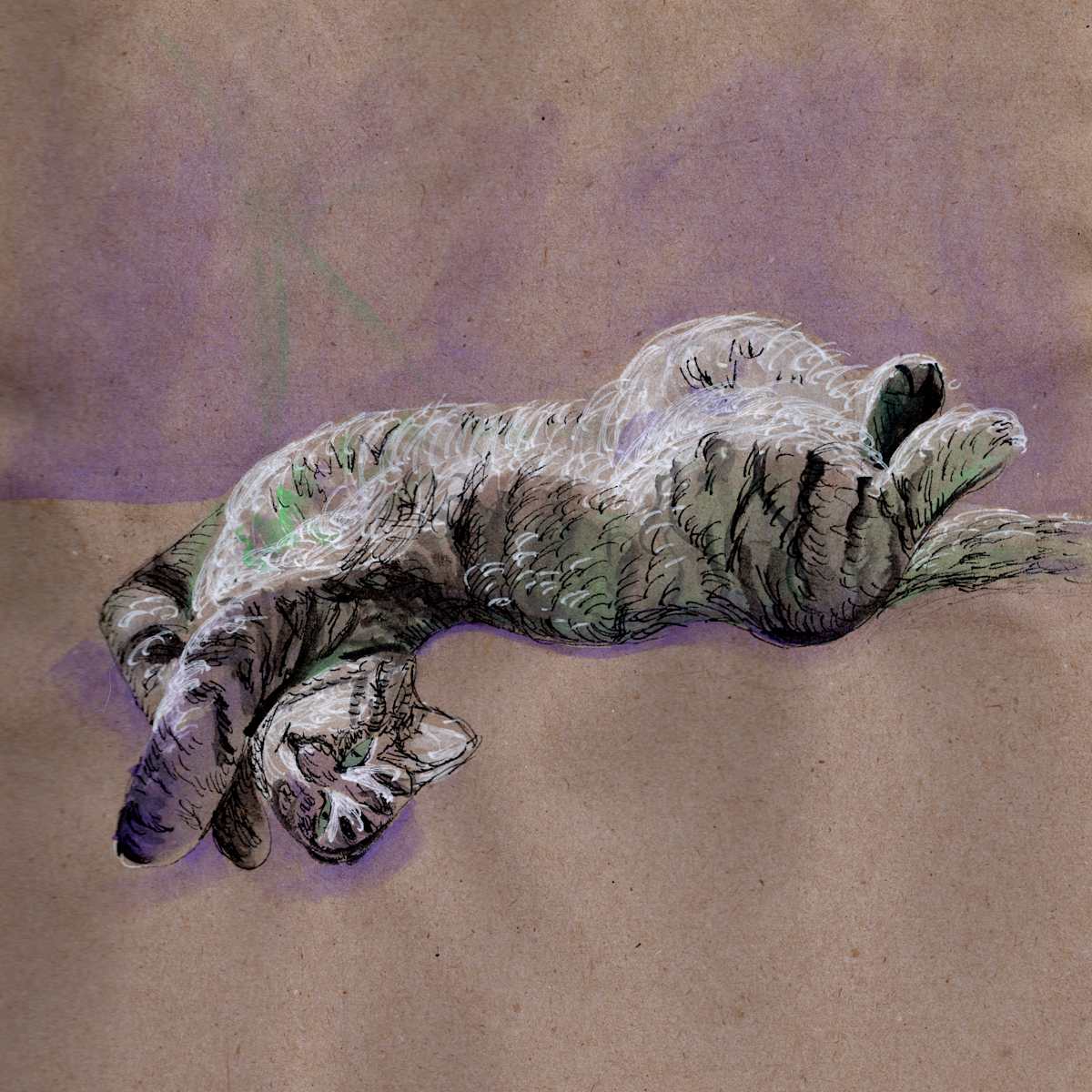 Zelda Showing Her Belly by Janet Danforth 