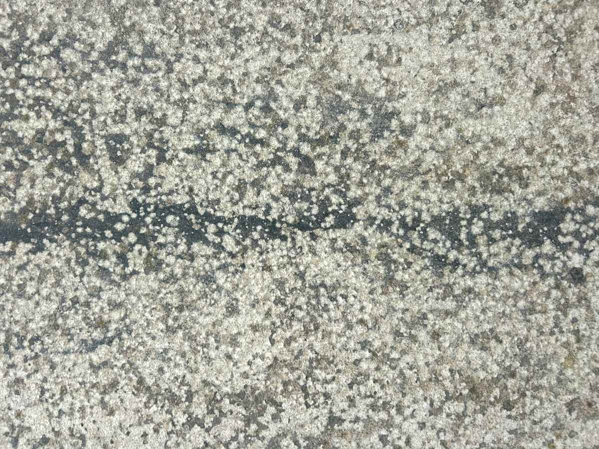 Glittering Horizon by Victoria Courtaux, Image 1.