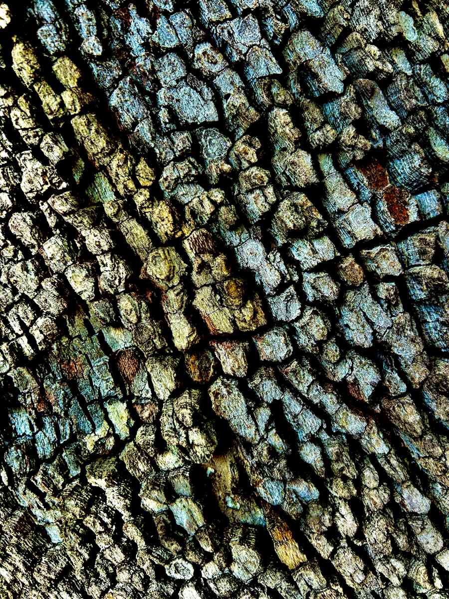 Dragon Skin #2 by Victoria Courtaux, Image 1.