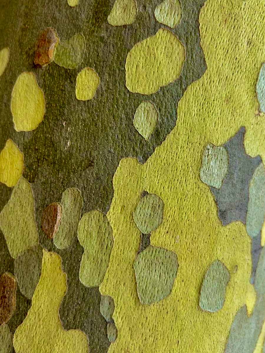 Liquid #2 by Victoria Courtaux, Image 9.