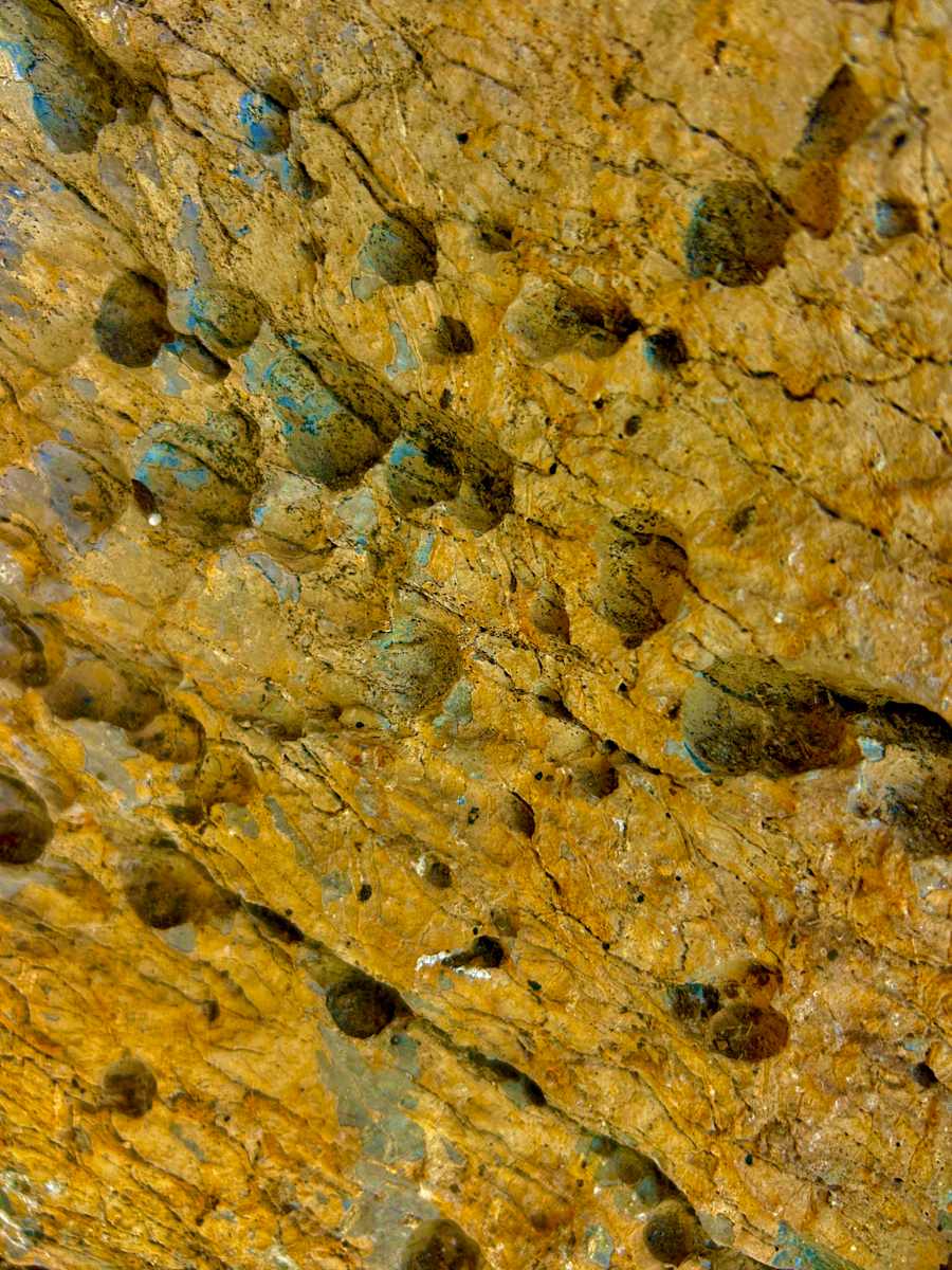 Gold Rush #2 by Victoria Courtaux, Image 15.