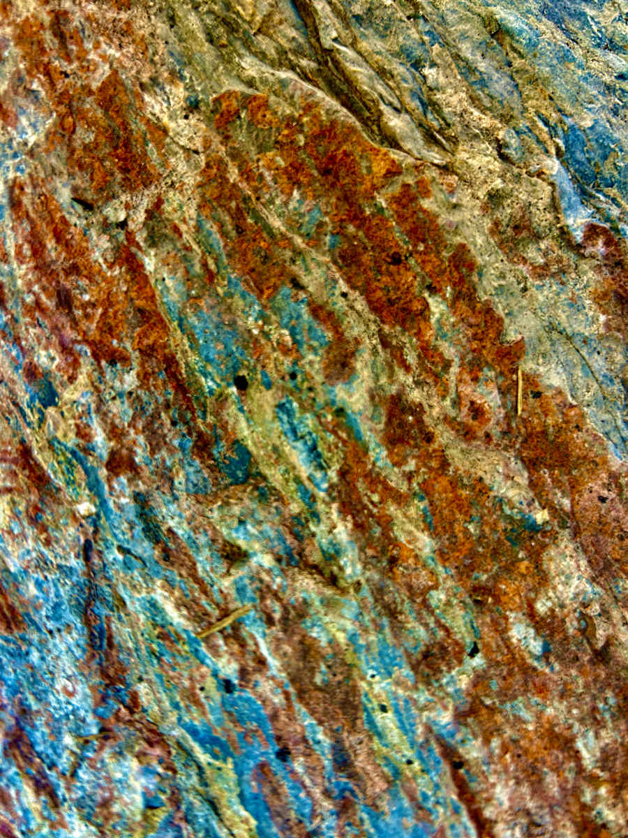 Luminescence #1 by Victoria Courtaux, Image 20.