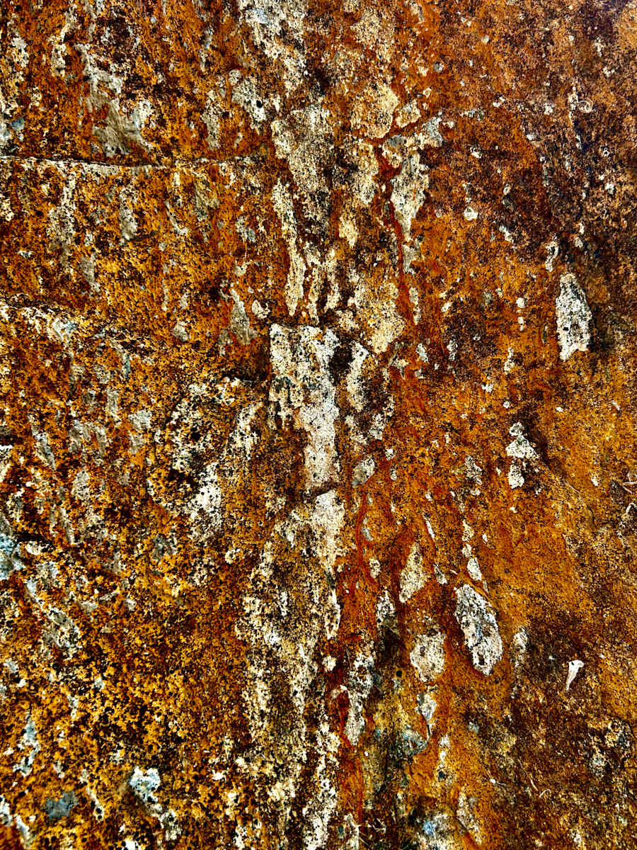 Ancestors #2 by Victoria Courtaux, Image 18.