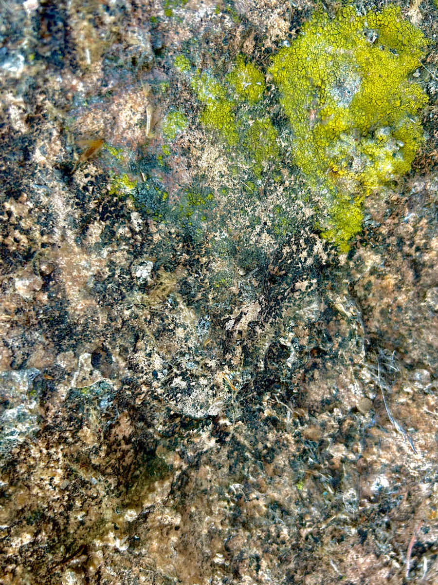 On the Edge of The Desolate Land by Victoria Courtaux, Image 8.