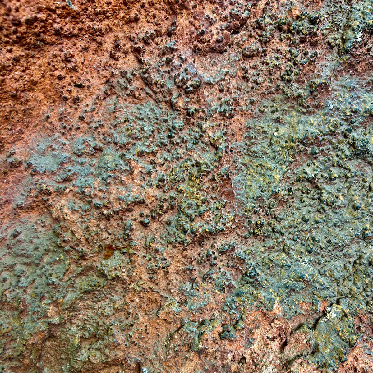 Blush by Victoria Courtaux, Image 11.